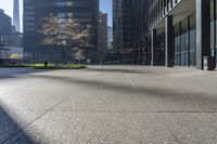 the shadows on the ground in this city are quite impressive to see, and a man is walking through the park