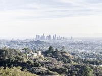 Cityscape: Aerial View with Clear Sky