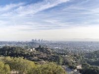 Cityscape: Aerial View with Clear Sky