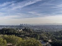 Cityscape: Aerial View with Clear Sky