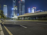 Cityscape at Night: Neon Lights and Skyscrapers