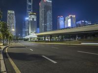 Cityscape at Night: Neon Lights and Skyscrapers