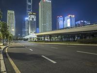 Cityscape at Night: Neon Lights and Skyscrapers