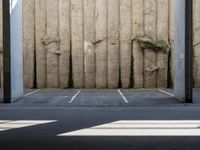 a wall with two trees between two parking spaces, seen from the bottom level of the photo