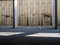 a wall with two trees between two parking spaces, seen from the bottom level of the photo