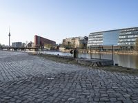 a dog stands on a brick path next to the water and buildings and a park