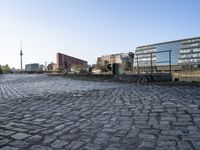 a dog stands on a brick path next to the water and buildings and a park