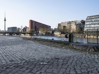 a dog stands on a brick path next to the water and buildings and a park