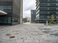 buildings stand next to each other on the pavement in a city park, and there are no leaves or flowers