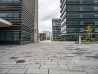 buildings stand next to each other on the pavement in a city park, and there are no leaves or flowers