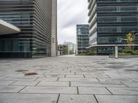 buildings stand next to each other on the pavement in a city park, and there are no leaves or flowers