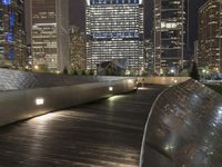 Cityscape of Chicago, Illinois at Night