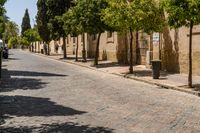 people walking on a sidewalk between several trees and buildings next to the road, with people in the distance