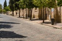 people walking on a sidewalk between several trees and buildings next to the road, with people in the distance