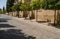 people walking on a sidewalk between several trees and buildings next to the road, with people in the distance