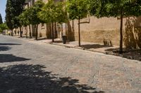 people walking on a sidewalk between several trees and buildings next to the road, with people in the distance