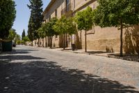 people walking on a sidewalk between several trees and buildings next to the road, with people in the distance