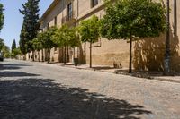 people walking on a sidewalk between several trees and buildings next to the road, with people in the distance