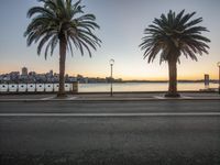 two palm trees next to a body of water and a streetlight by a river