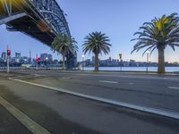 some palm trees sit on the side of a street under a bridge, near water