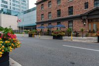 street scene with large flowered planters in front of buildings and a paved road