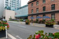 street scene with large flowered planters in front of buildings and a paved road