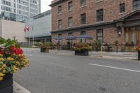 street scene with large flowered planters in front of buildings and a paved road