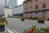 street scene with large flowered planters in front of buildings and a paved road