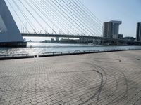 Cityscape in Holland at Dawn with Modern Architecture