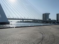 Cityscape in Holland at Dawn with Modern Architecture