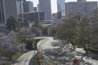 a highway surrounded by tall buildings and trees in a city area by the street sign is a single traffic light