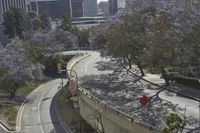 a highway surrounded by tall buildings and trees in a city area by the street sign is a single traffic light