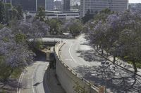 a highway surrounded by tall buildings and trees in a city area by the street sign is a single traffic light