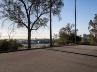 Cityscape of Los Angeles: A Day Under Clear Skies