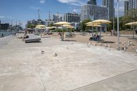 a bunch of birds walking on a beach near the water and buildings in the background