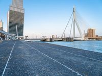 a walkway lined with brick bricks next to a body of water and tall buildings in the background