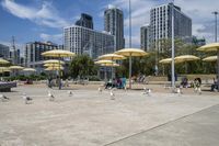 Cityscape with Modern Architecture and Urban Design