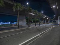 Cityscape at Night: Illuminated Roads and Bridges