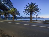 a street scene in the city at night with a bridge and palm trees in the distance