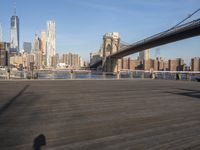 Cityscape panorama view of Manhattan, USA at dawn