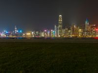 a night scene of the city skyline taken from the grassy field in front of the river