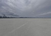 a long sandy beach has buildings in the distance and gray skies above the city and river