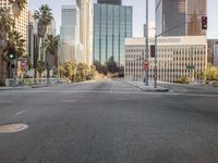 a empty intersection with several trees lining the street and a few tall buildings in the background
