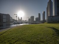 grassy field by the water and the city skyline on a clear day with bright sunshine