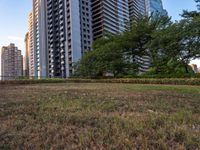 the large grassy area with many tall buildings in background and bushes on both sides of it