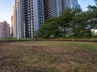 the large grassy area with many tall buildings in background and bushes on both sides of it