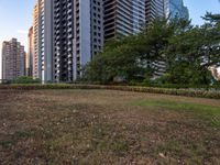 the large grassy area with many tall buildings in background and bushes on both sides of it