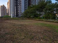 the large grassy area with many tall buildings in background and bushes on both sides of it