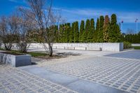 Cityscape: Tall Architecture and Cobblestone Roads