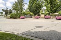 Cityscape of Toronto: Public Space in a Park